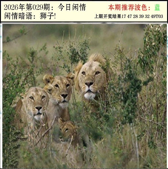 029期今日闲情2[图]