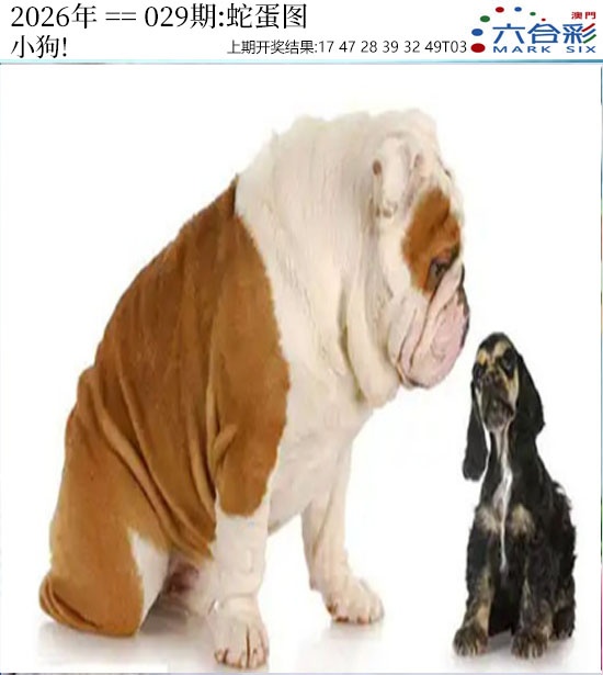 029期正版蛇蛋图[图]