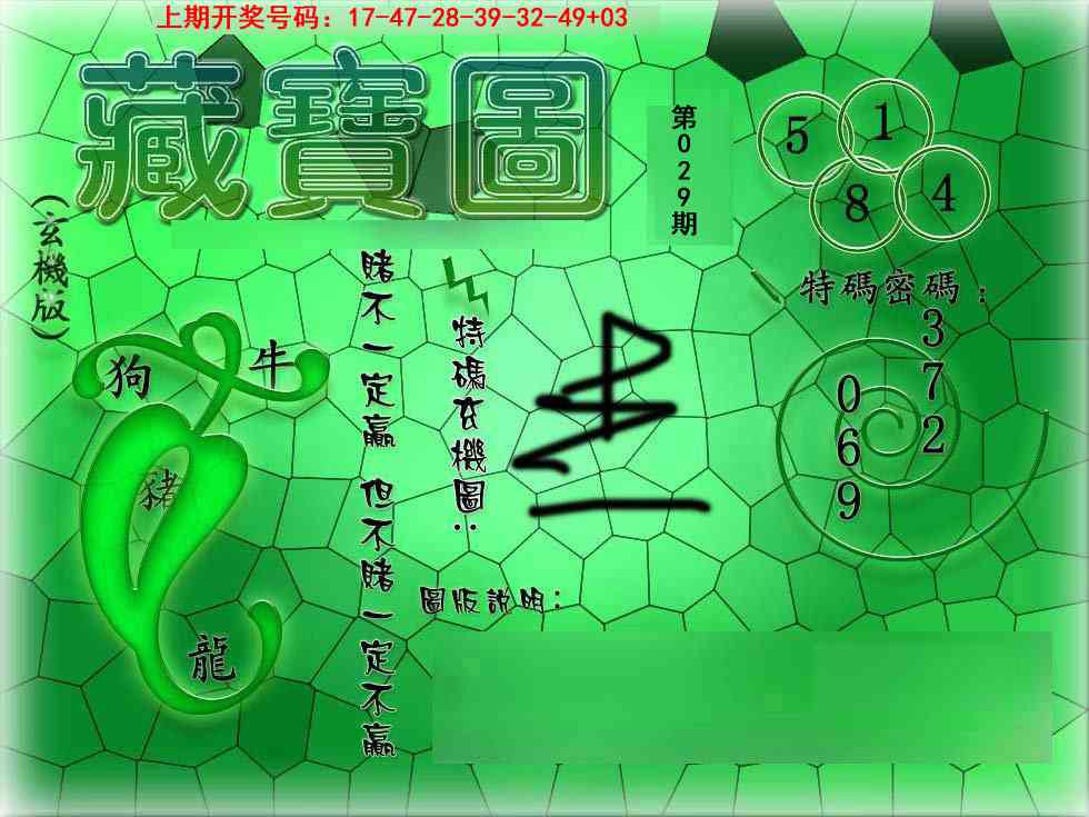 029期九龍玄机报[图]