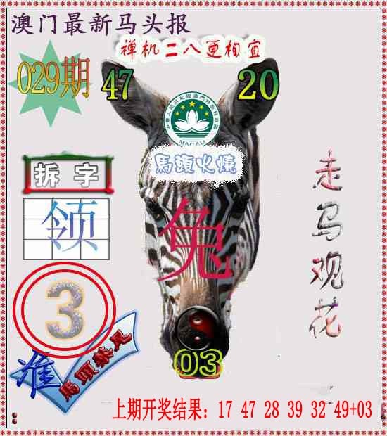 029期马头报[图]