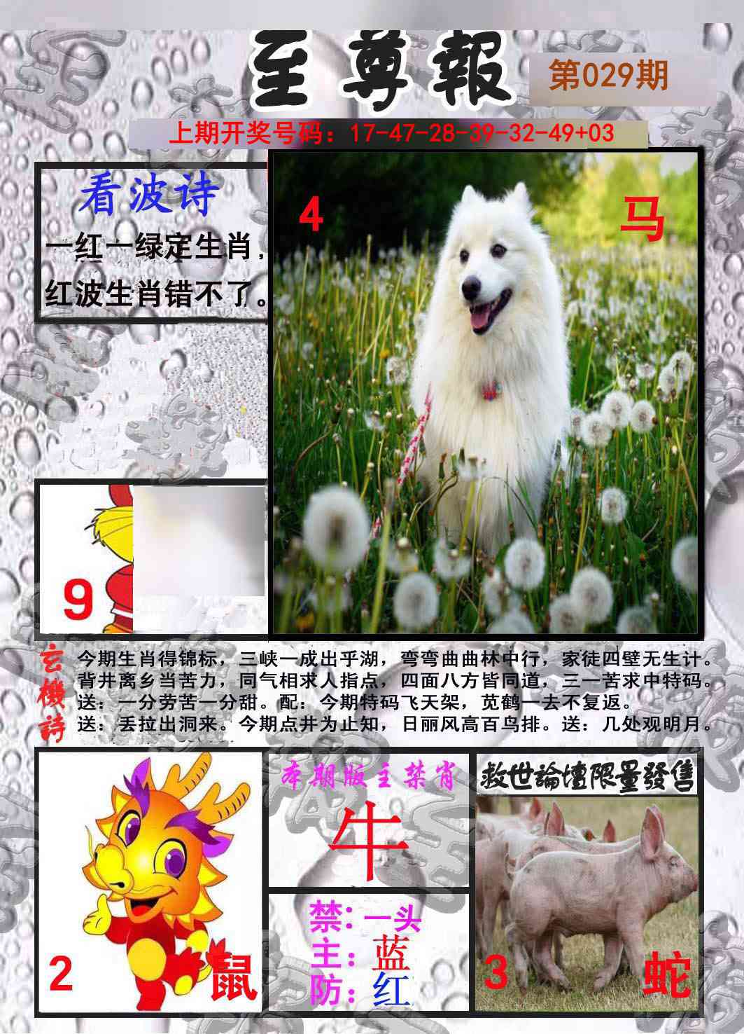 029期至尊报[图]