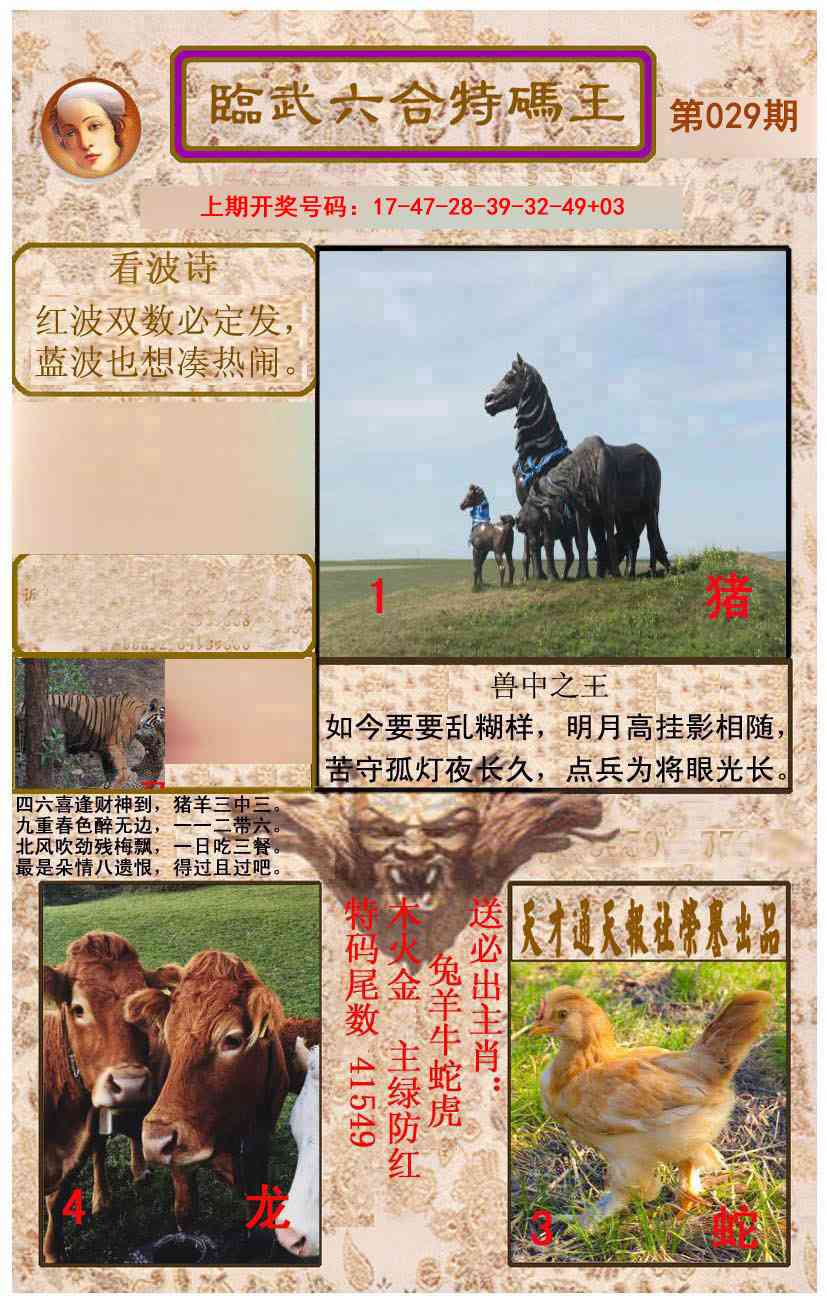 029期临武六合特码王[图]