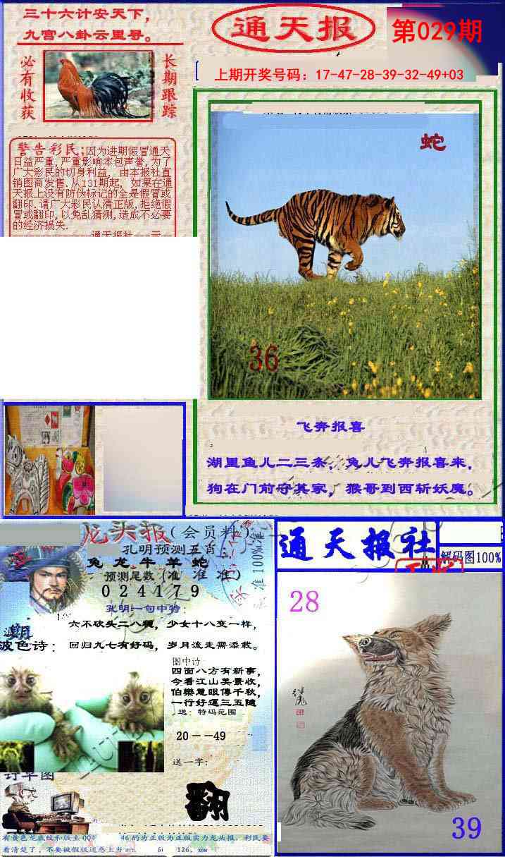 029期实力通天报[图]
