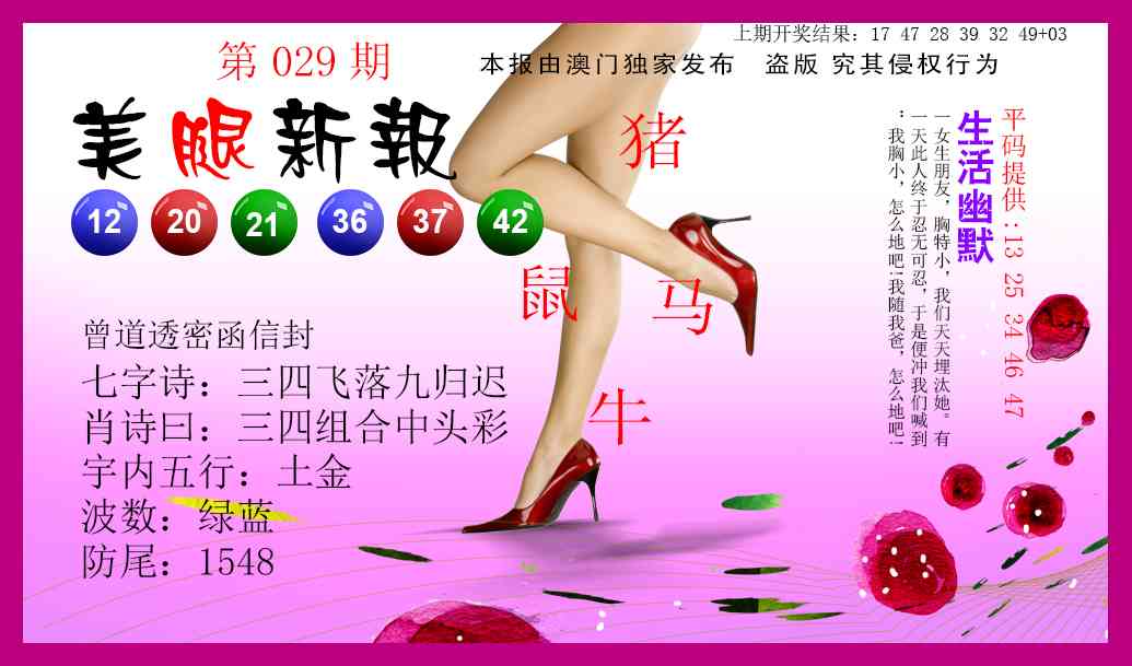 029期美腿新报[图]