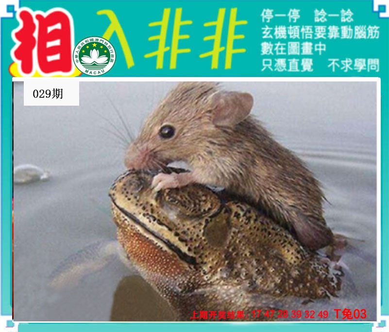 029期相入非非[图]