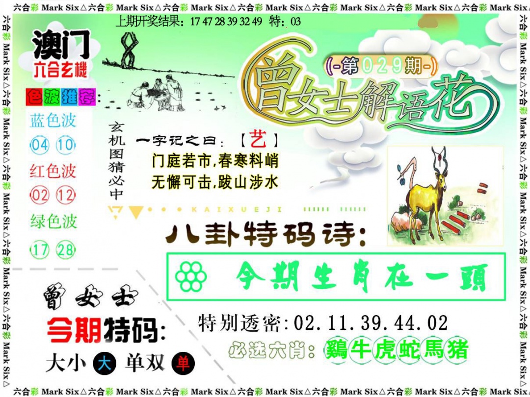 029期曾女士解语花[图]