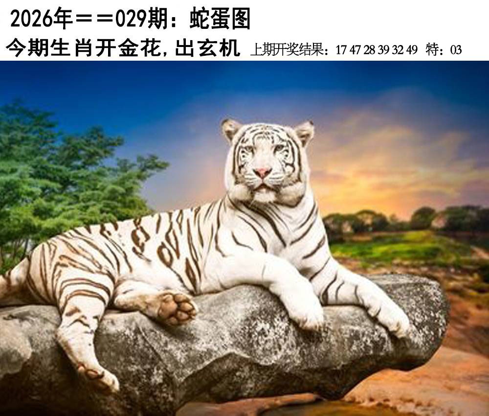 029期另版蛇蛋图[图]