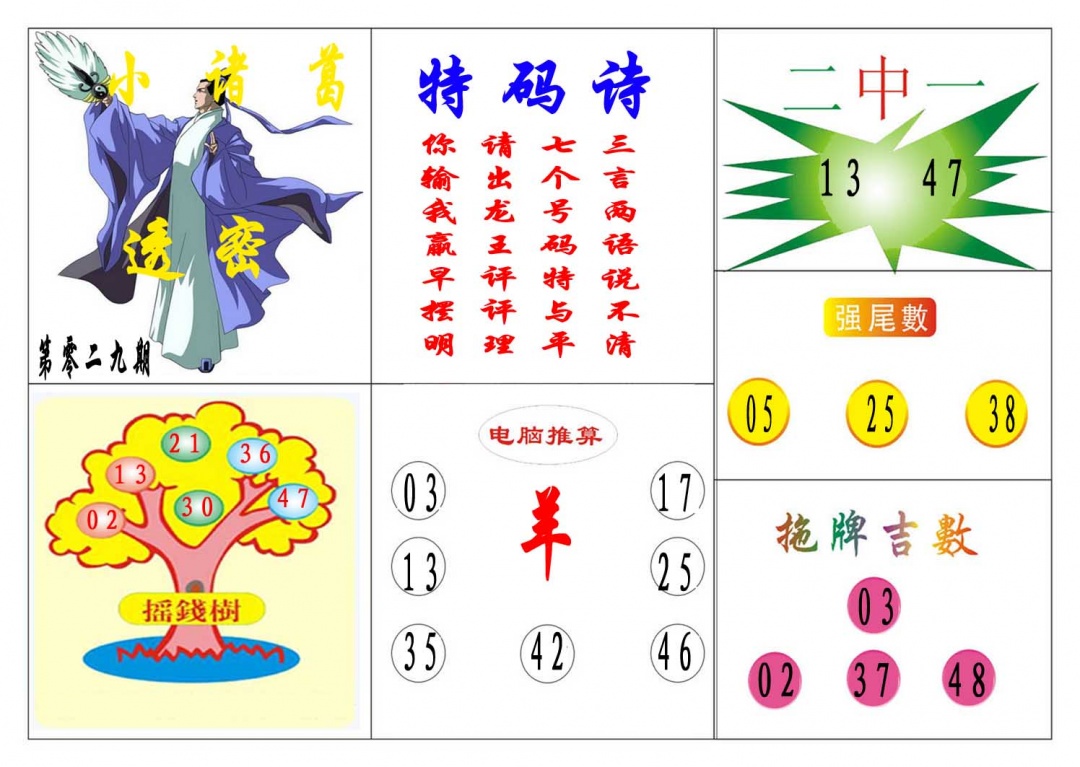 029期小诸葛[图]