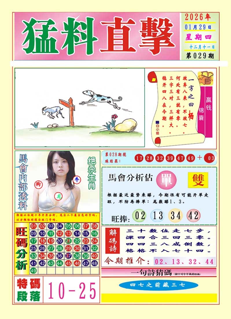 029期猛料直击A[图]