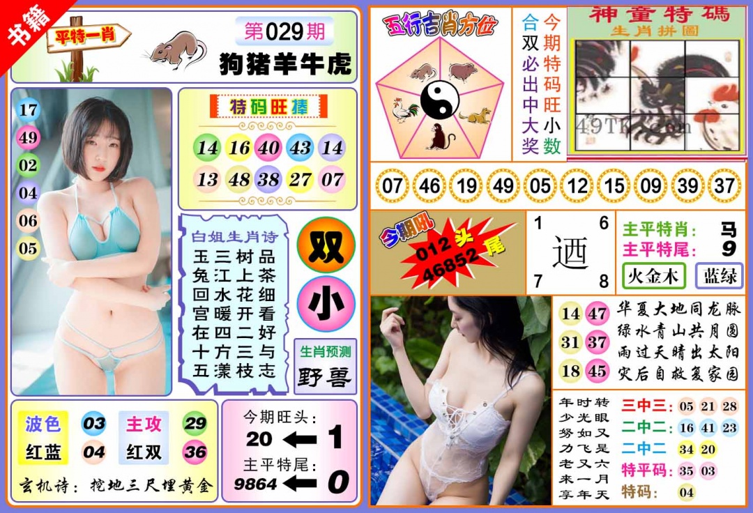 029期澳门五行白姐[图]