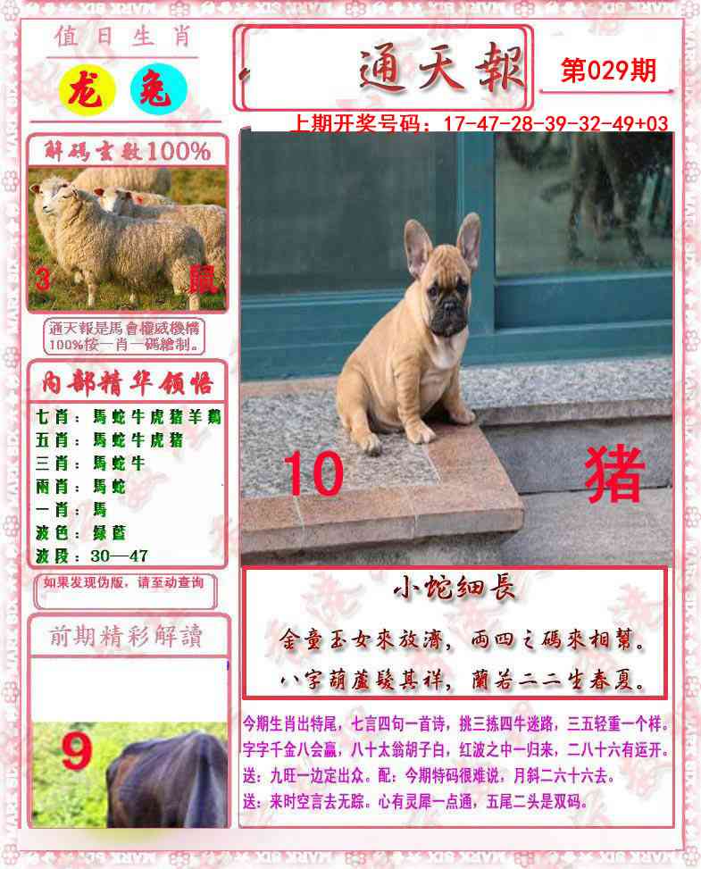 029期马经通天报[图]