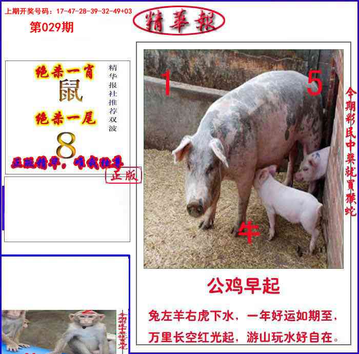 029期新精华报报[图]