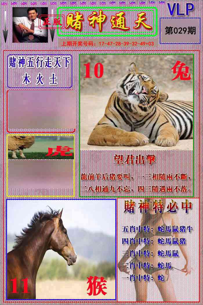 029期赌神通天报[图]