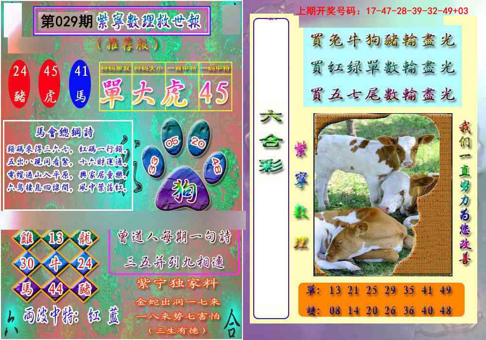 029期数理救世报[图]