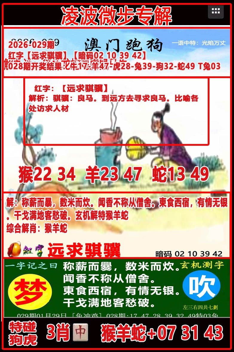 029期凌波微步[图]