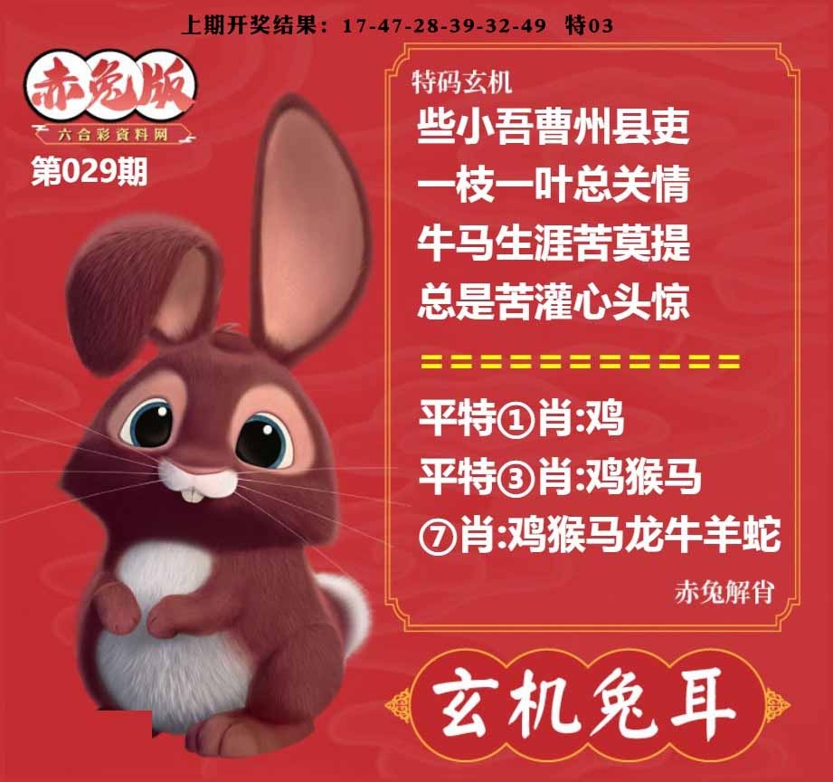 029期玄机兔耳[图]