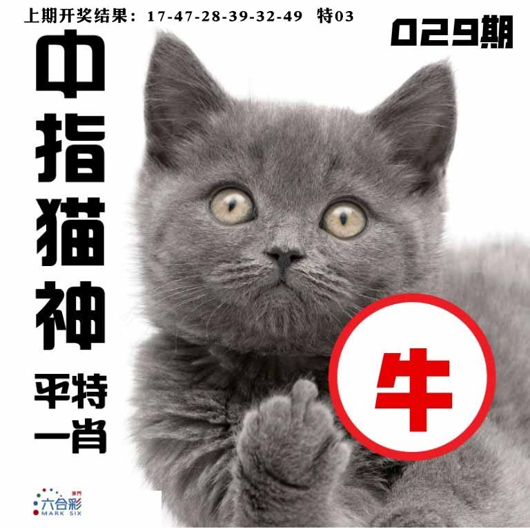 029期中指猫神[图]