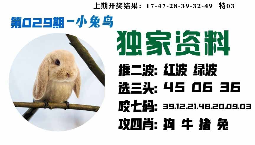 029期小兔鸟[图]